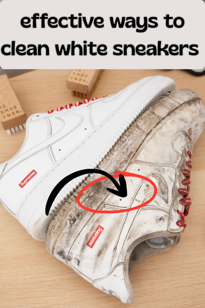 Votre Texte De Paragraphe 683x1024