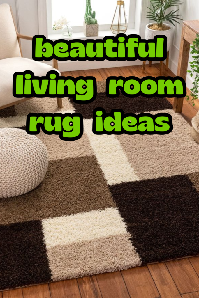 Beautiful Living Room Rug Ideas 683x1024