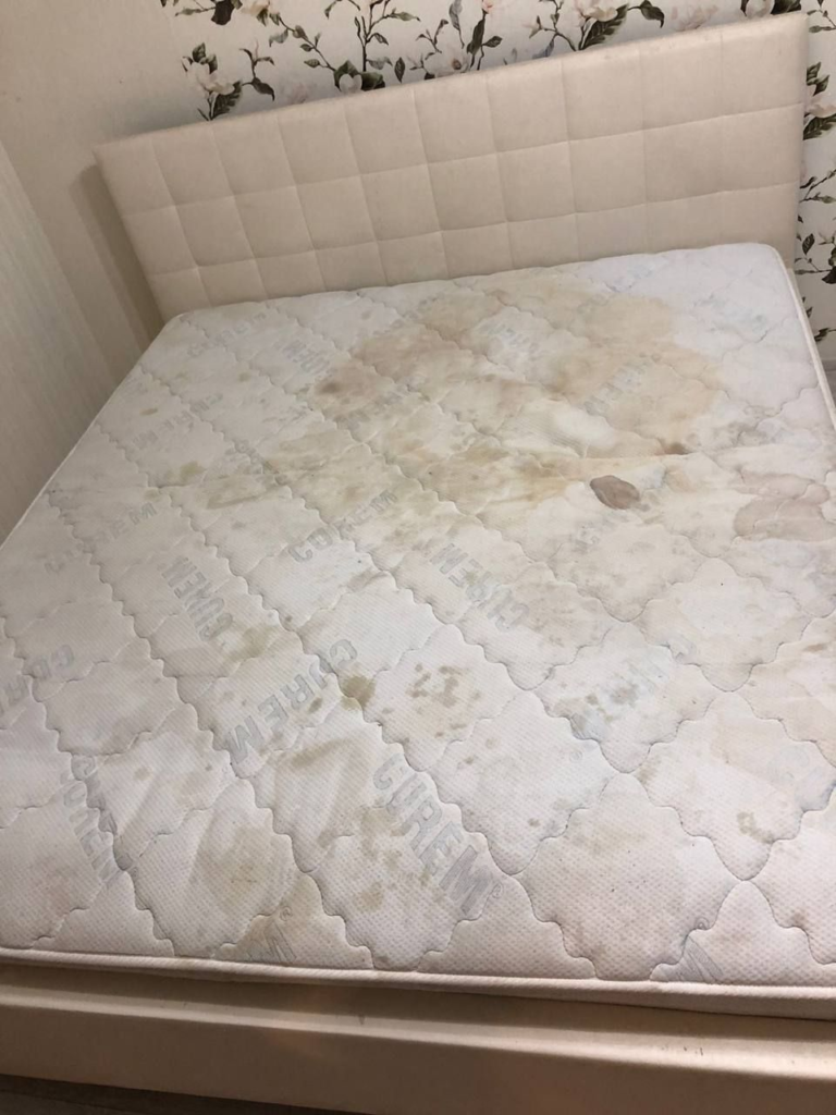 How to Remove Urine from a Mattress and Eliminate Odor Fast Image 25 768x1024