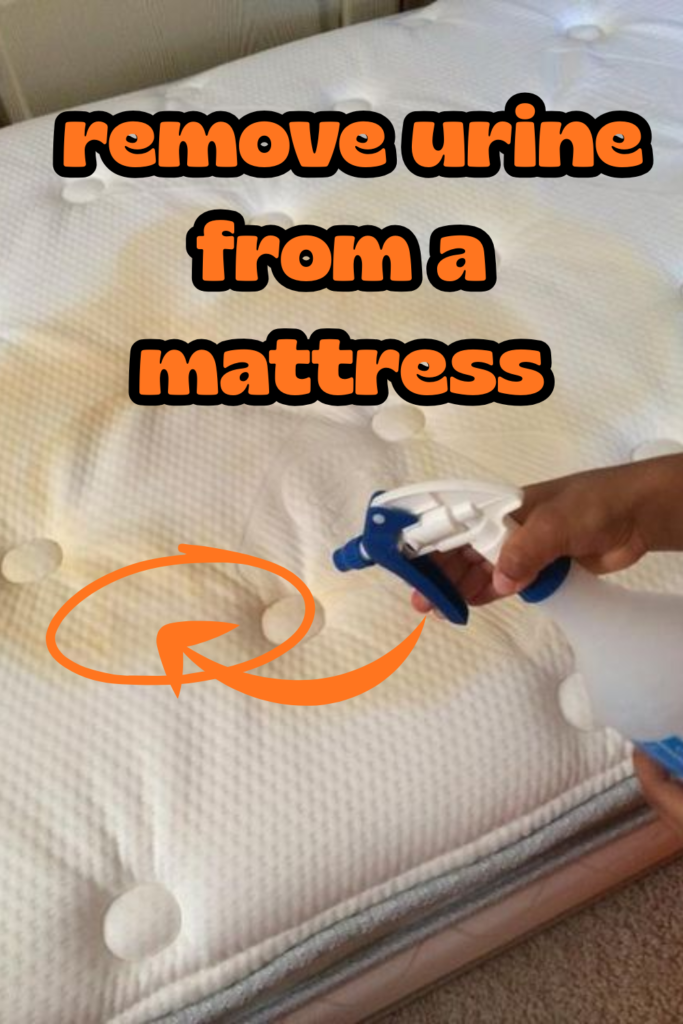 How to Remove Urine from a Mattress and Eliminate Odor Fast Remove Urine From A Mattress 683x1024